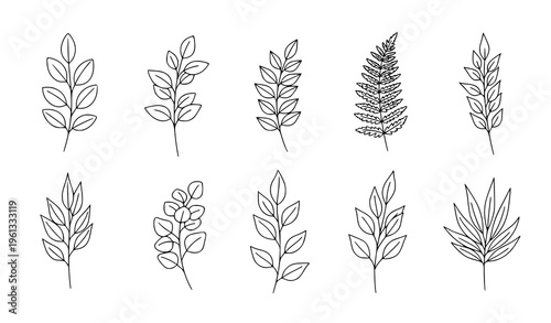 Hand Drawn Botanical Leaf Branch Outline Set Thin Line Floral Vector Collection