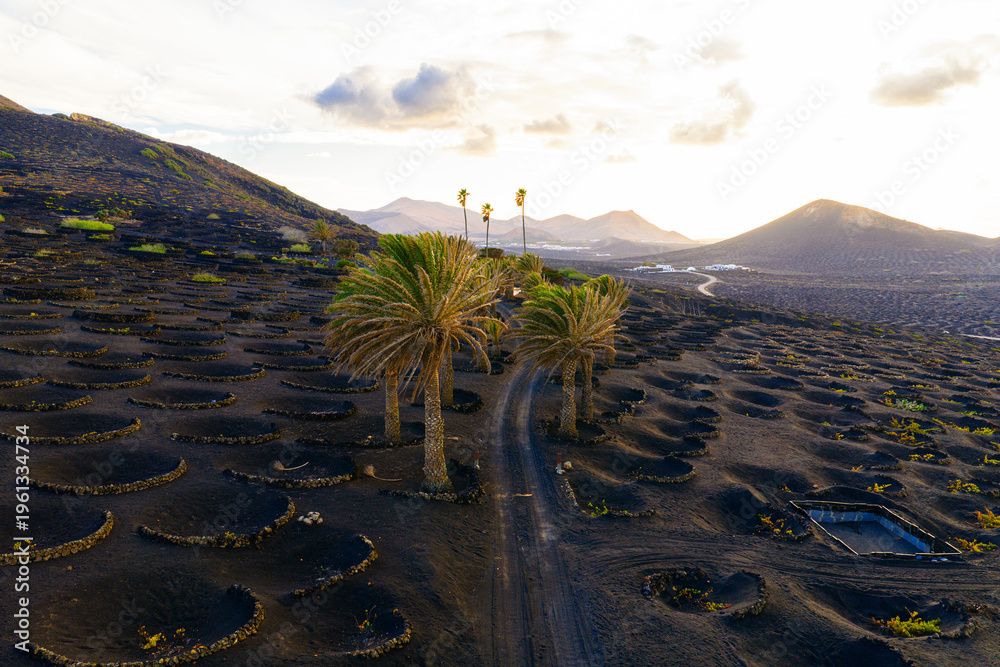 Fototapeta premium La Geria, Lanzarote, Canary Islands, Spain