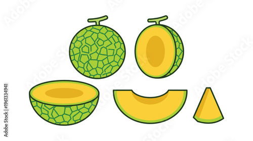 Fresh melon fruit vector illustration featuring whole, half, slice, and wedge elements. Perfect for healthy food designs.
