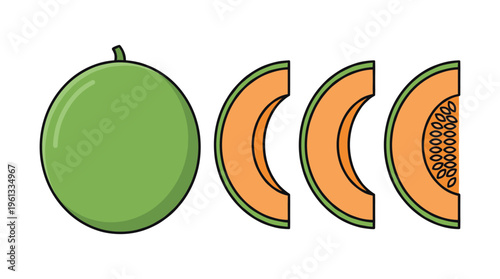 Delicious cantaloupe melon fruit, whole and sliced, with juicy orange flesh. Perfect for healthy food and summer designs