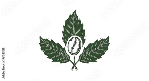Detailed Green Illustration of a Coffee Bean with Three Leaves
