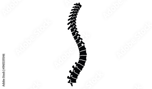 Silhouette of a human spine against a white background showcasing its curvature and structure