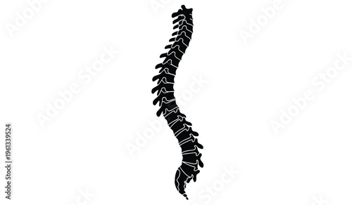 Silhouette of a detailed illustration of a spine showcasing vertebrae and spinal structure in a medical context silhouette