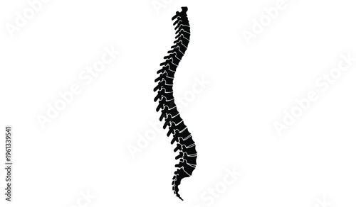 Silhouette of a tall slender plant or tree with feathery leaves against a white background resembling a decorative element