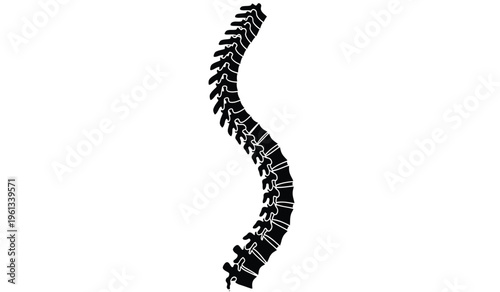 Photos Silhouette of a human spine a medical illustration of the vertebral column in a
