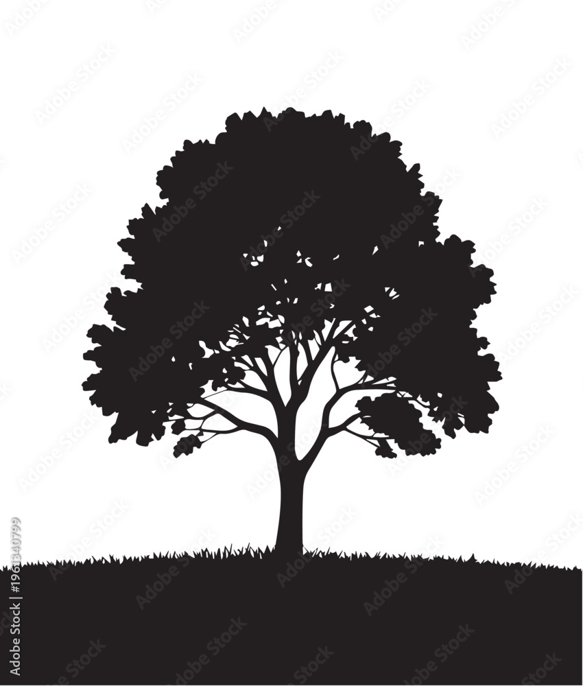 Fototapeta premium Black silhouette of a full grown deciduous tree standing on a grassy hill