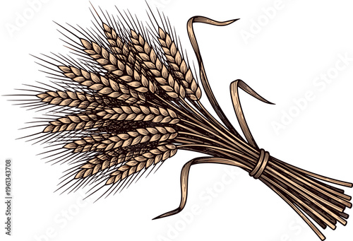 A bundle of golden wheat tied together with a string