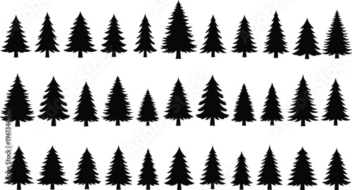 Black silhouettes of various pine trees on white background tree silhouettes black trees coniferous trees