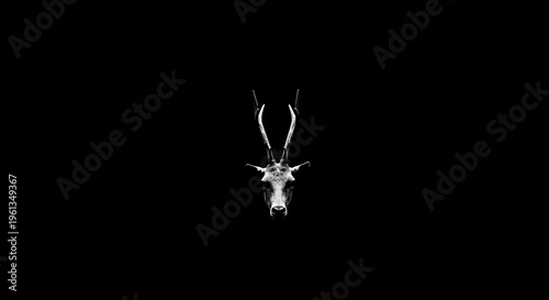 Minimalistic Deer Head with Antlers Illustration on Solid Black Background, Elegant Wildlife Animal Portrait