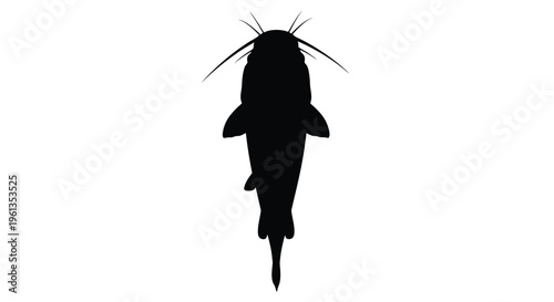 A striking black silhouette of a catfish facing upwards