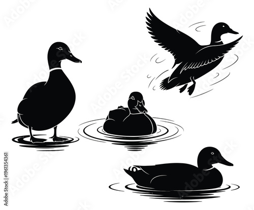 Ducks in various poses on water background silhouette, including swimming, floating, diving, and preening ducks, perfect for nature and wildlife graphics