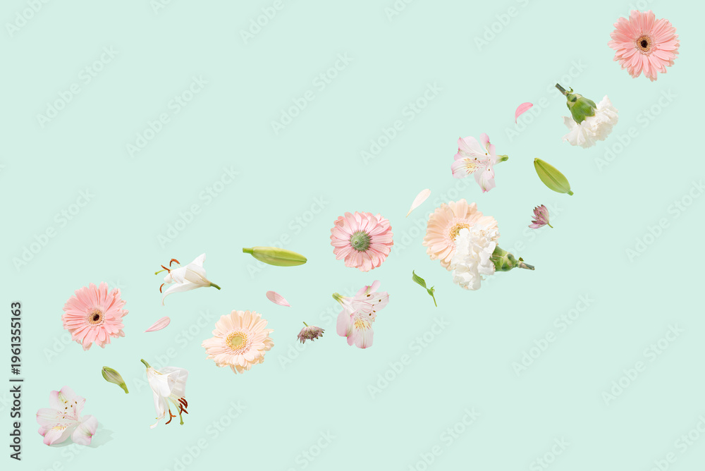 Fototapeta premium Spring flowers on a green background. Summer aesthetic pastel concept.