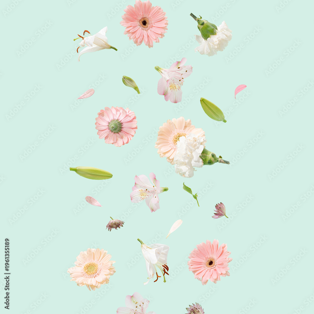 Fototapeta premium Spring flowers flying on a green background. Beautiful nature concept.