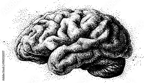 Stippled side view brain drawing in black and white with scattered dot shading for neuroscience poster and background design