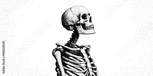 Stipple human skeleton ribcage and skull drawing in black and white for anatomy poster background and medical study reference