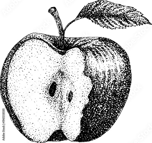 Vintage stipple black and white apple with bite revealing flesh texture for label background and packaging design