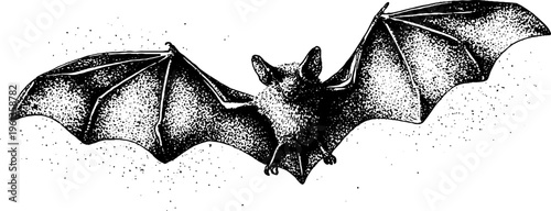 Black and white stippled bat with wings spread wide for halloween poster background and wildlife illustration design
