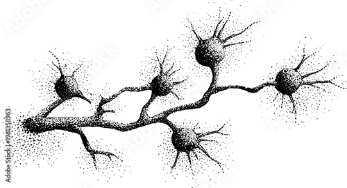 Stippled neuron network illustration in black and white showing connected brain cells for science background and educational poster