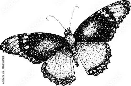 Stippled butterfly with galaxy shaped wing patterns in black and white for cosmic poster and tattoo background design