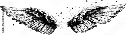 Pair of black and white stipple angel wings with feather detail for poster and tattoo design background