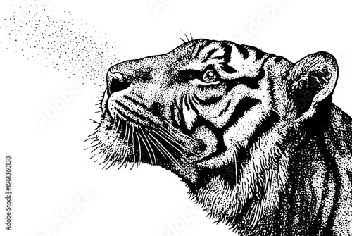 Black and white stipple tiger head facing upward with dot spray for poster and tattoo design background