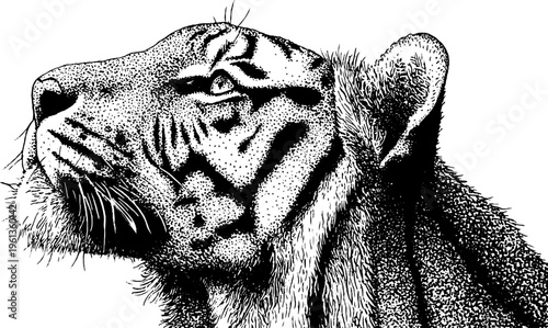 Black and white stipple tiger head profile with dotted texture for poster and tattoo design background