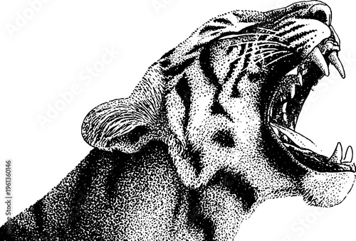 Black and white stipple roaring tiger head with open mouth and exposed teeth for poster and tattoo design