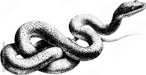 Stippled black and white snake formed of cables drawing for tech tattoo background and decorative design