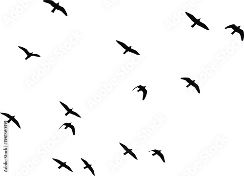 A flock of birds flying in a v formation against a white sky