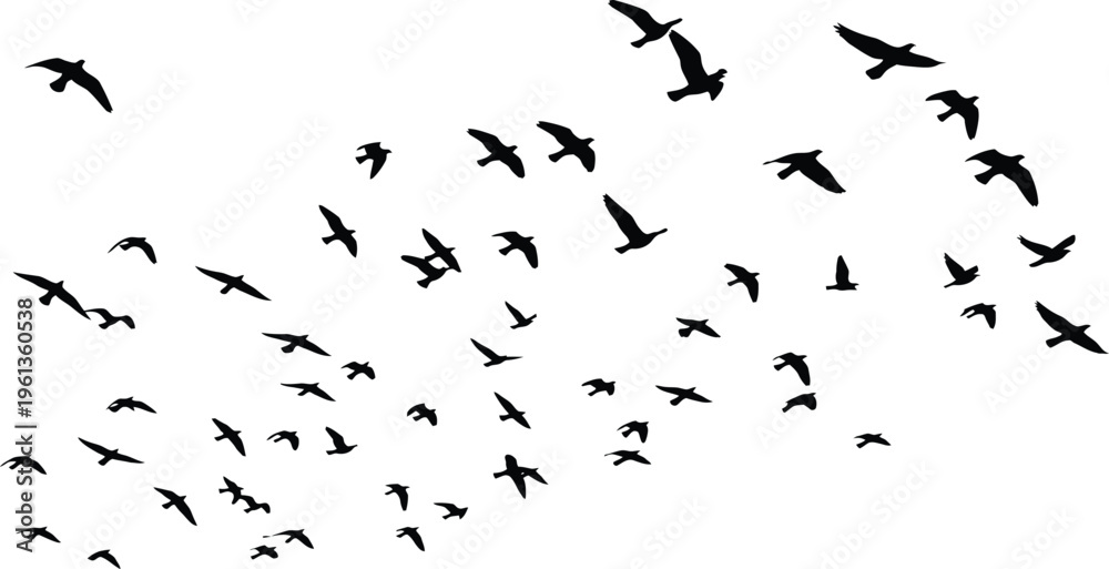 Fototapeta premium A large flock of birds flying together in formation
