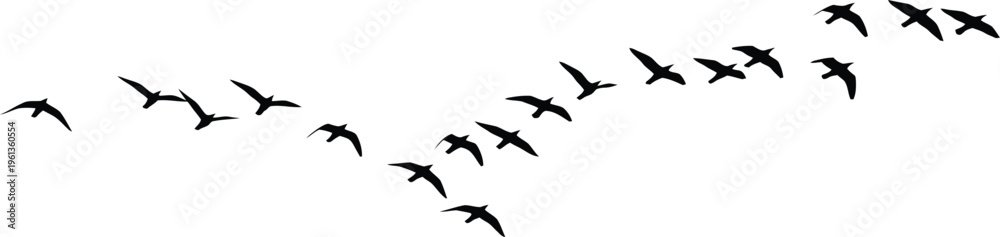 Obraz premium A flock of birds flying in a v formation