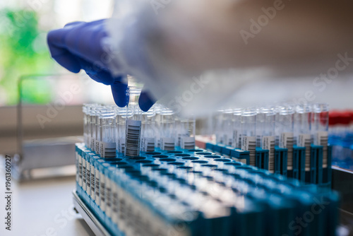 Wallpaper Mural Gloved Technician Selecting Sample Vials From Rack, Workstation Bathed In Natural Light With Labeled Tubes, Torontodigital.ca