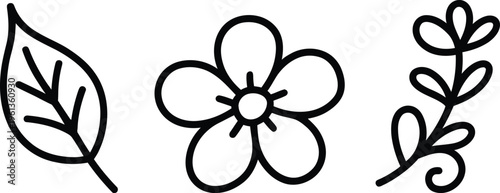 Simple line drawing of three types of botanical illustrations: leaf, flower, and plant stem