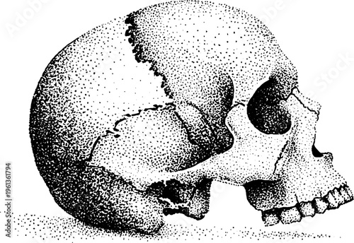 Stippled skull with melting glitch effect in black and white dotwork for tattoo design poster and macabre background