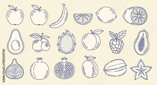 A delightful collection of hand-drawn line art illustrations featuring a variety of fresh fruits, presented on a textured beige background.