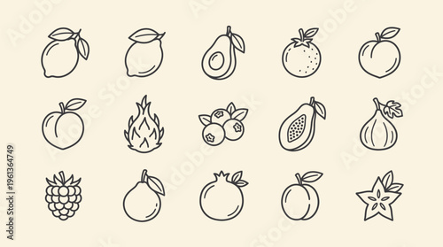 A collection of 15 hand-drawn line art illustrations of various fruits and berries on a light beige background.