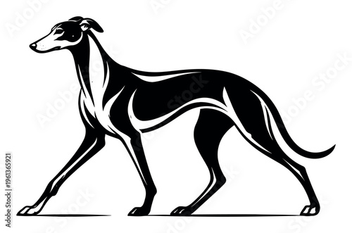 Stylized black and white greyhound vector drawing, standing in a regal pose, representing elegance, speed, and sleekness