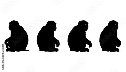 Japanese Macaque Illustration