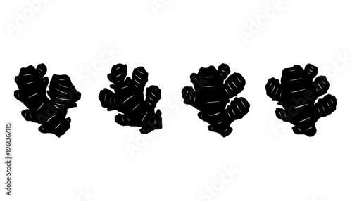 Ginger Root Spice Graphic