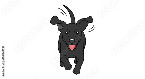 A playful black puppy with floppy ears runs forward with its tongue out against a white background.