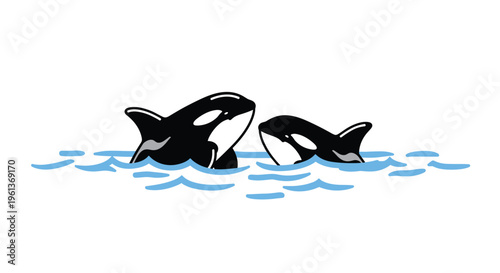 Two black and white killer whales, an adult and a calf, swim in blue water waves against a white background.