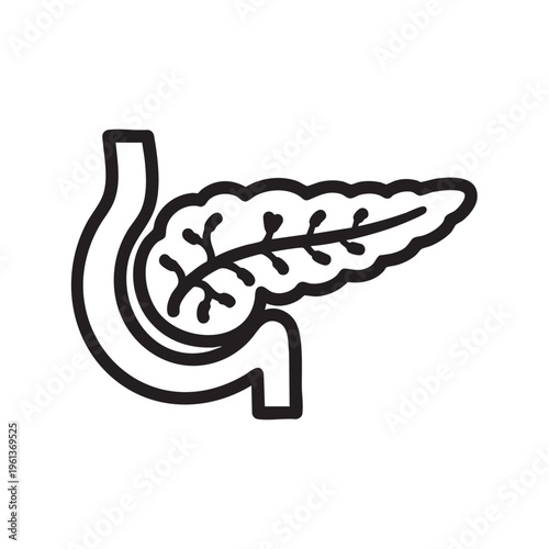 Illustration shows pancreas organ outline icon in a simple style on white background.
