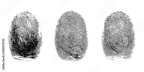 A collection of three distinct black and white human fingerprint patterns isolated on white background Vector, illustration