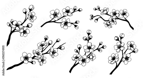 Pink sakura watercolor vector cherry blossom branch set EPS10 isolated on white