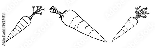 Carrot set with vibrant orange gradient illustration featuring plant, root vegetable, health symbol with nutrition label and cooking icon