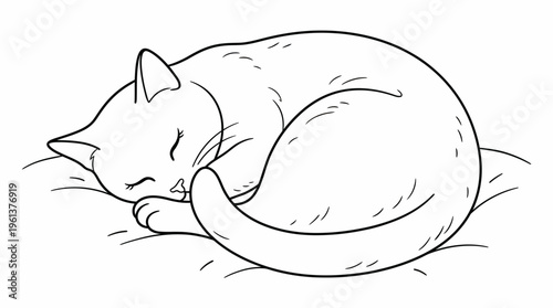 A cute cat peacefully sleeping in a curled-up position on a soft surface