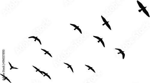 A flock of birds flying in formation against a white sky