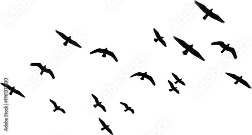 A flock of birds flying in formation against a white sky