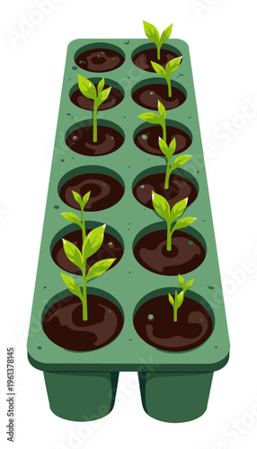 Young Seedlings in Green Tray with Brown Soil in Each Compartment, Representing New Growth in Organized Planting System for Efficient Gardening