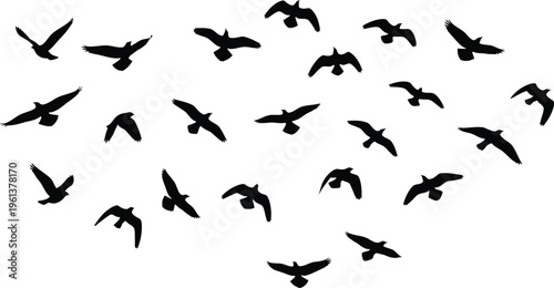 Flock of birds flying in a heart shape formation